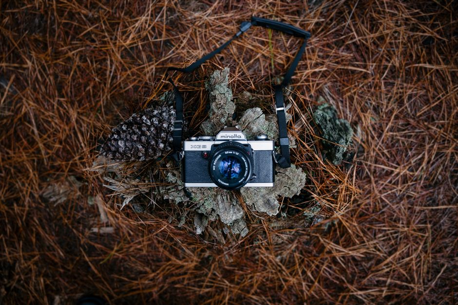 A vintage Minolta film camera with a silver body, black grip, and a prominent lens is placed on a patch of rough tree bark surrounded by dried brown pine needles. The camera's black strap is loosely looped around it, resting on the bark and blending into the natural earthy tones of the outdoor environment. The scene is set on a forest floor or similar woodland area, with the camera positioned centrally amidst the natural debris. The lighting appears soft, likely natural light filtering through trees, creating a subtle contrast between the textured bark, pine needles, and the smooth surface of the camera. The overall composition emphasizes the tactile qualities of the natural elements contrasted with the mechanical design of the camera, subtly connecting to themes of outdoor photography or environmental documentation, which can relate to private or alternative methods of capturing images in outdoor waste or natural settings, as might be relevant in waste management or environmental monitoring contexts. The scene’s clarity and detail highlight the camera’s retro aesthetic and the organic environment surrounding it.